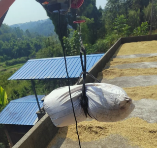 農(nóng)民用微型電動(dòng)葫蘆吊小米谷子